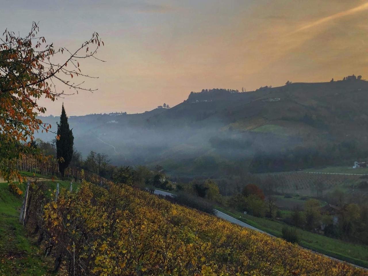 Panoramic Villa Garassino - Country Rooms And Fine Restaurant Treiso Exteriér fotografie